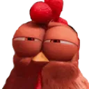 chicksus chicksus