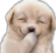 giggle Discord emoji