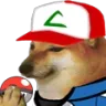 PKT_Pokecheems