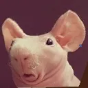 nakedmolerat