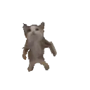 CatGangnamStyle Discord Emoji