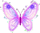 butterflypink