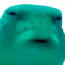 fishwut