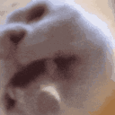 Cat Lick cat_lick Discord Emoji