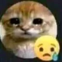 sad Discord Emoji