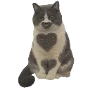 z_cat2 Discord Emoji
