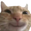 Cat_Smile