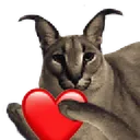 Heart_flop