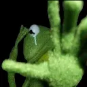 Frog_Kermit Discord Emoji