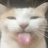 BLEH