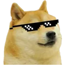 ChillingDOGE Discord Emoji