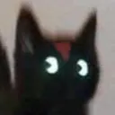 darkiecat