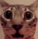 wow