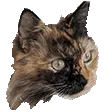 Snickers