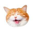 laughing_cat