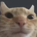 stare stare
