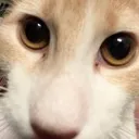 Tgzhshbfifrkendttttssvdftghynoiw