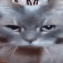 catDeparture