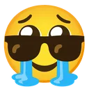 sobglasses