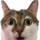 uuuuh