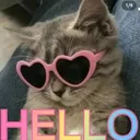 hello_meow