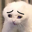 kspkspCrycat