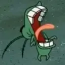 plankton