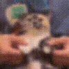 elgato