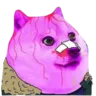 SR_Doge2049 Discord Emoji