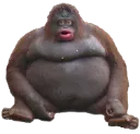 uhohstinky