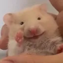 hehewave hehewave