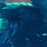 SR_2049drive