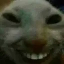 xdd xdd