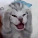 insane Discord emoji