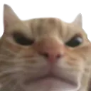 notalkmeangy