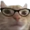 kotnerd