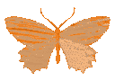her_butterflyorange Discord Emoji