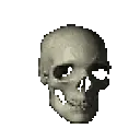 rotatingskull