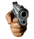GUN