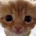 ya Discord emoji