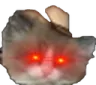 meowdyrealshit