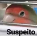 muito_sus