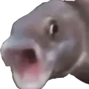 Pogfish