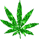 weed weed