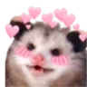lovepossum
