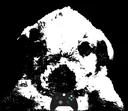 uncannydog