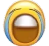 sOb