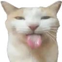 c_BLEHHH