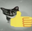 MiauLike