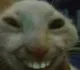 wehe